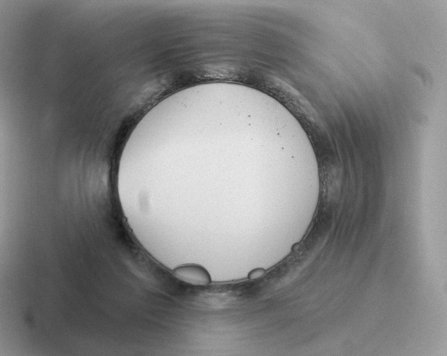 X0000116550213201001071122