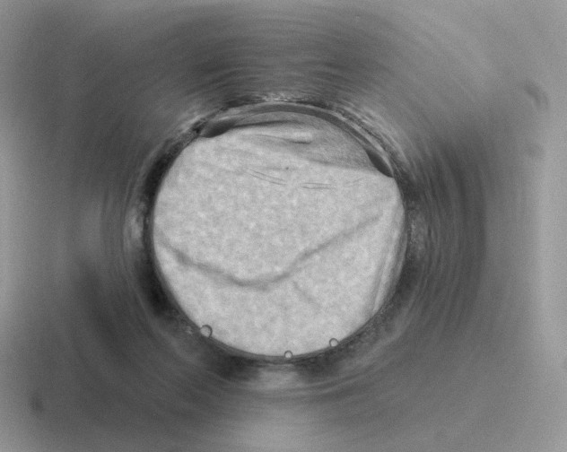 X0000116550214201001071122