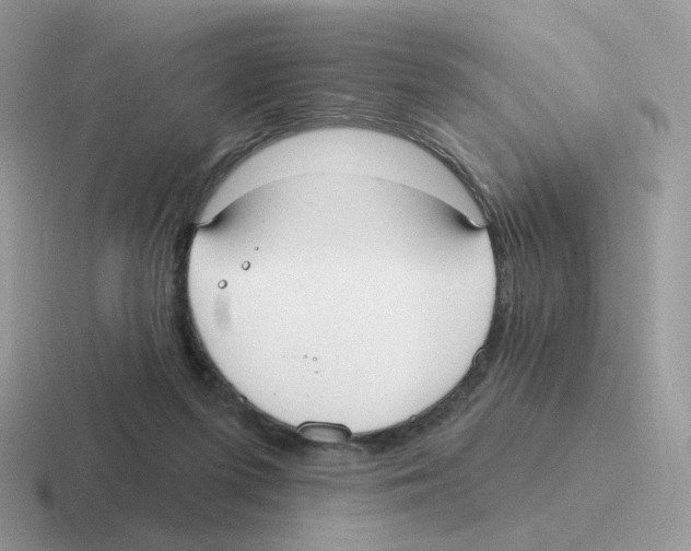 X0000116550215201001071122