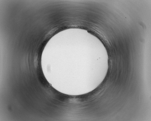 X0000116550216201001071122