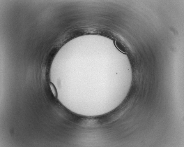 X0000116550217201001071122