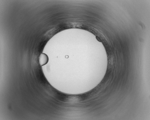 X0000116550218201001071122