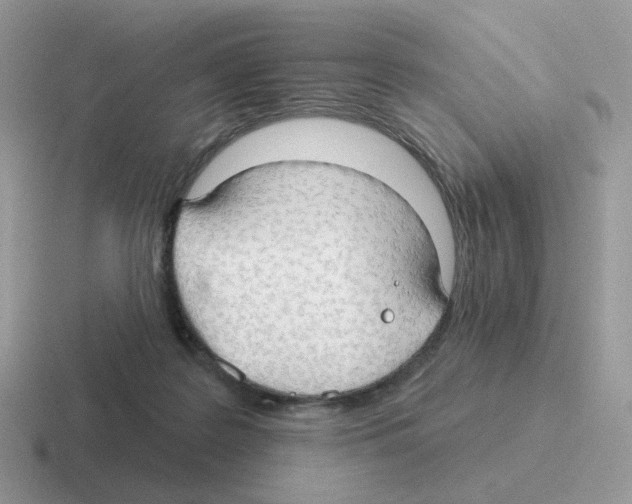 X0000116550219201001071122