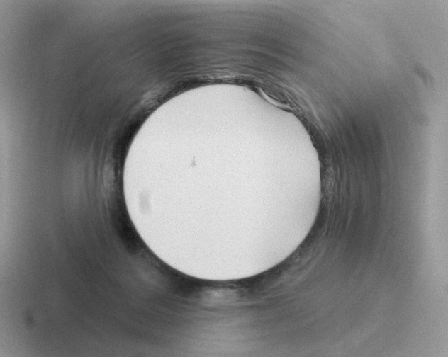 X0000116550220201001071122