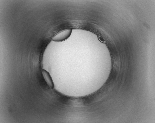 X0000116550221201001071122