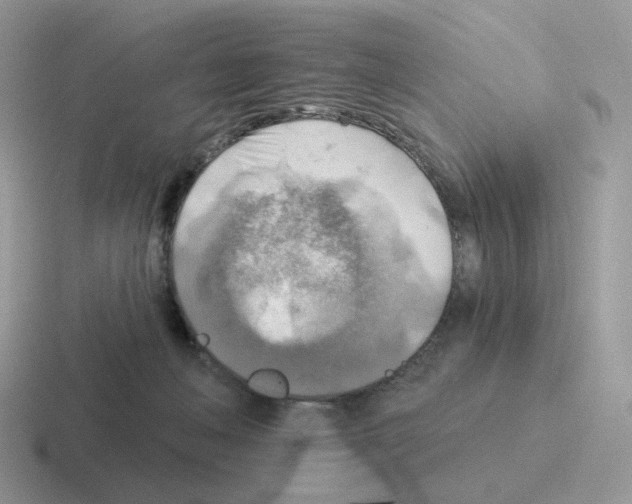 X0000116550222201001071122