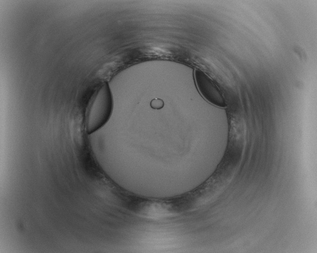 X0000116550223201001071122