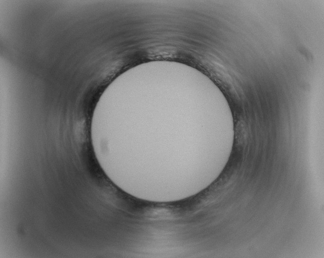 X0000116550224201001071122