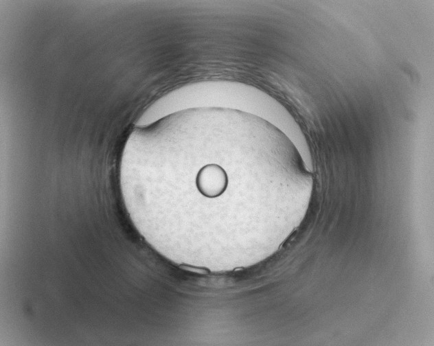 X0000116550225201001071122