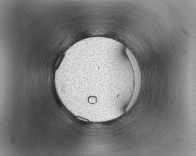 X0000116550227201001071122