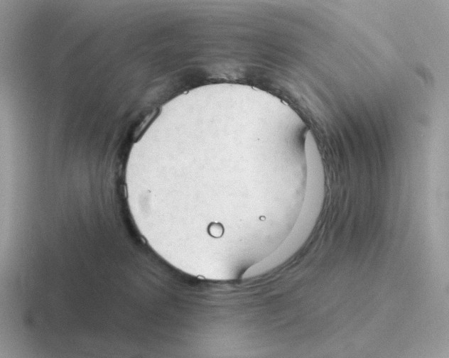 X0000116550229201001071122