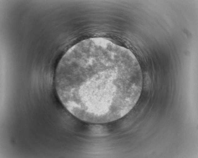 X0000116550230201001071122