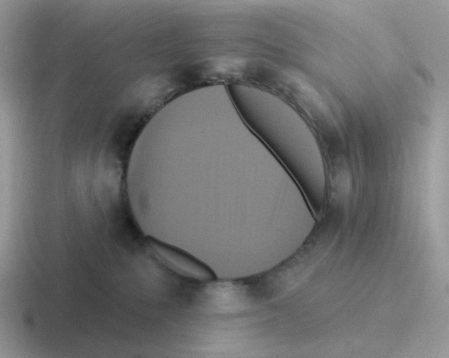 X0000116550231201001071122