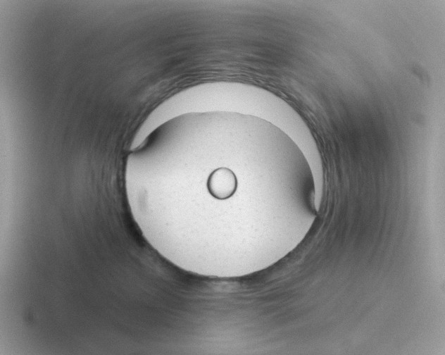 X0000116550233201001071122