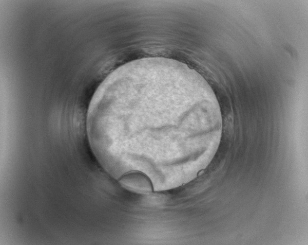 X0000116550234201001071122