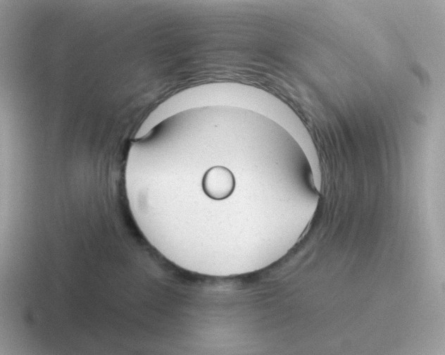 X0000116550235201001071122