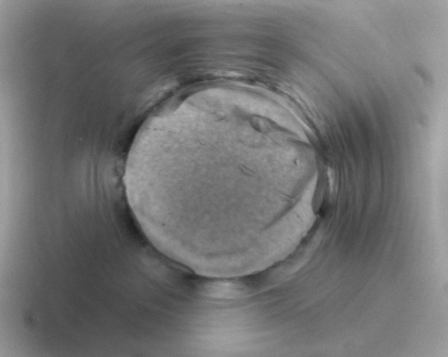 X0000116550237201001071122