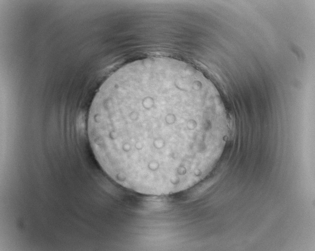 X0000116550238201001071122