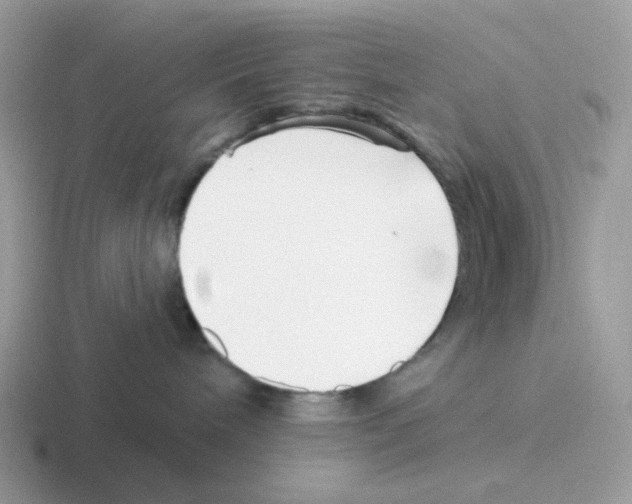 X0000116550240201001071122