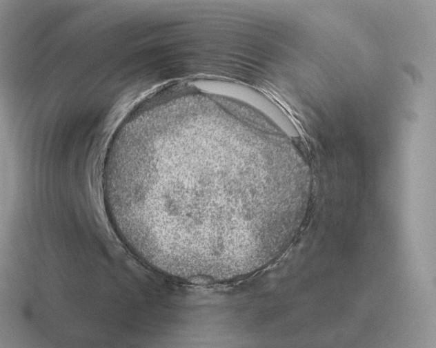 X0000116550241201001071121