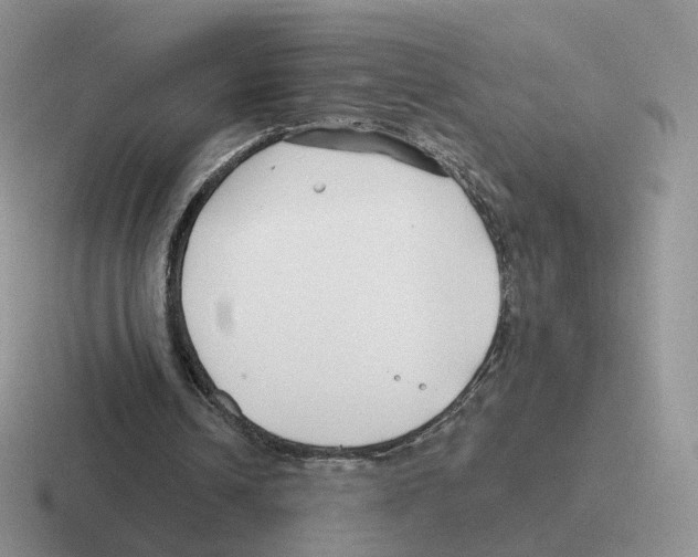 X0000116550242201001071121