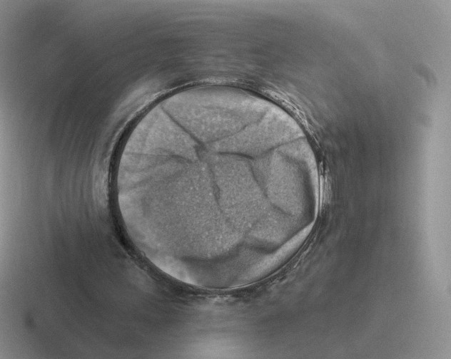 X0000116550243201001071121