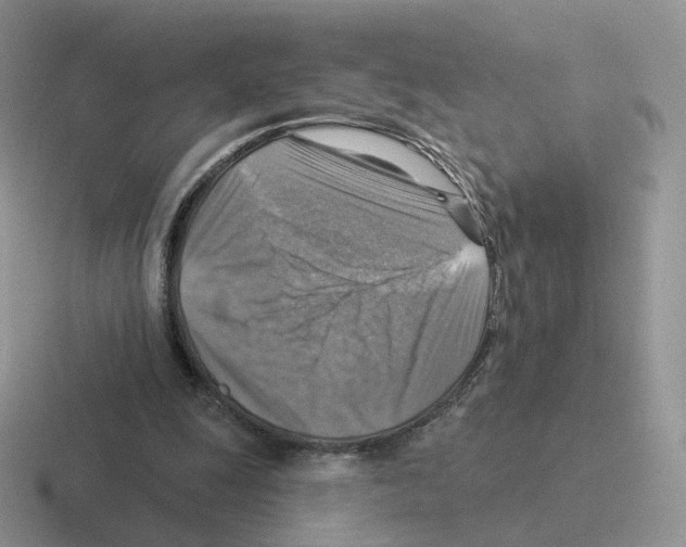 X0000116550247201001071121