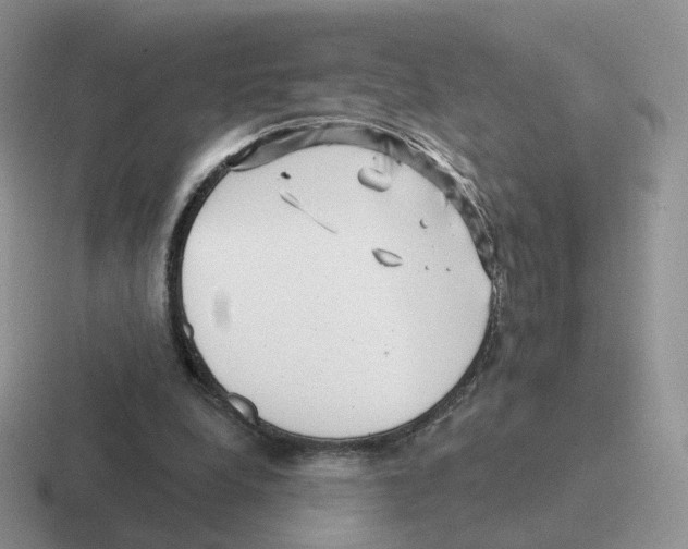 X0000116550248201001071121