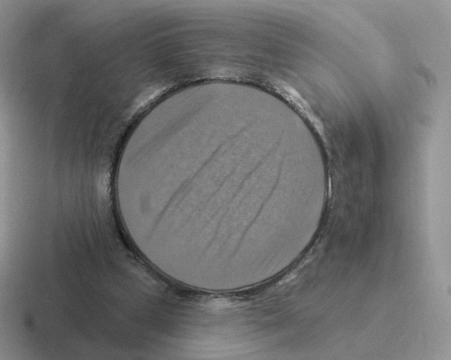 X0000116550249201001071121