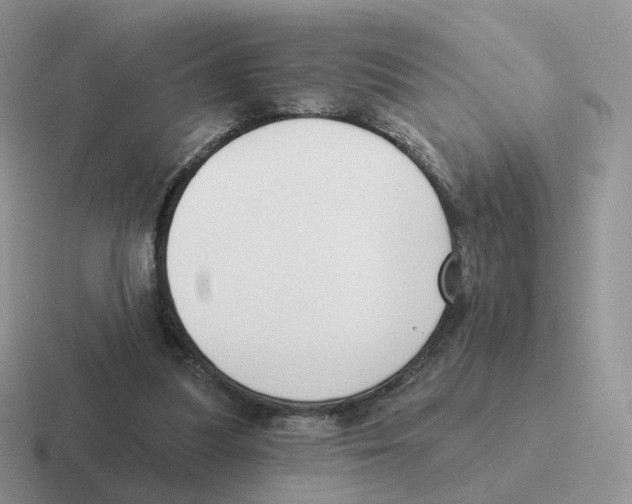 X0000116550251201001071121