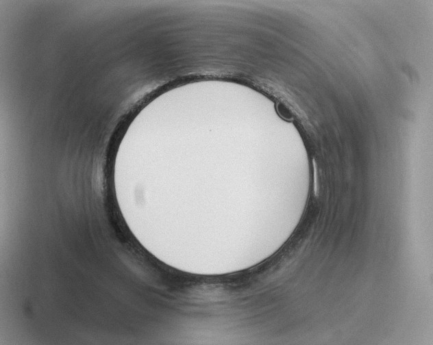 X0000116550252201001071121