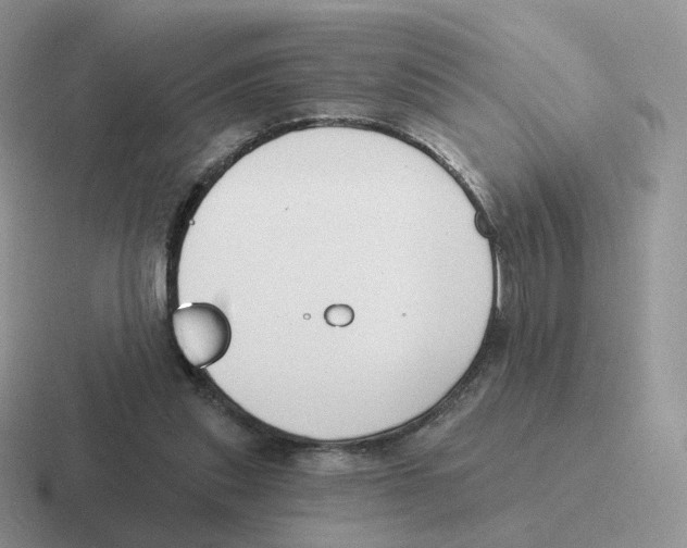 X0000116550253201001071121