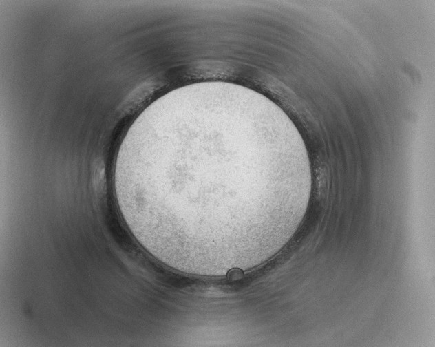 X0000116550254201001071121