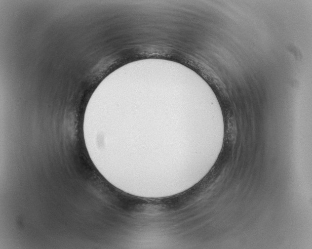 X0000116550255201001071121