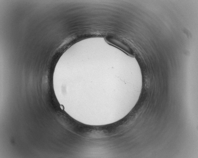 X0000116550256201001071121