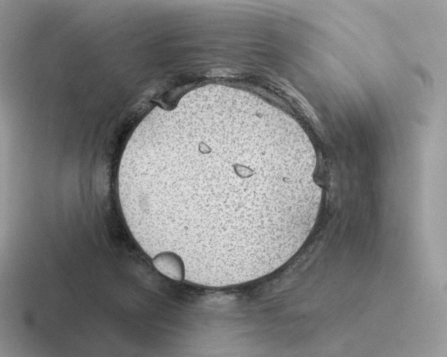 X0000116550257201001071121