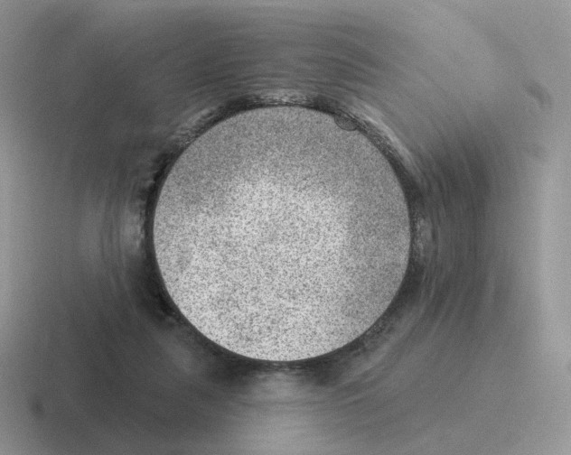 X0000116550259201001071121