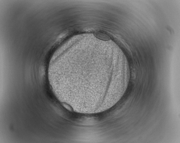 X0000116550260201001071121