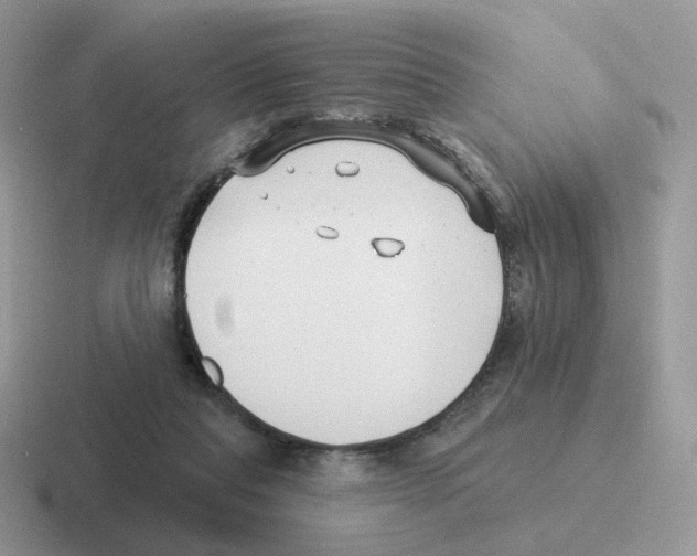 X0000116550261201001071121