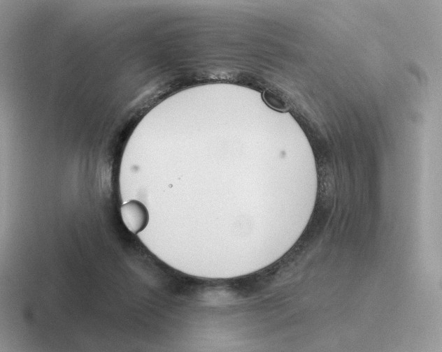 X0000116550262201001071121