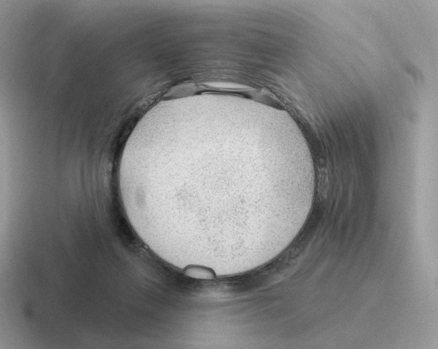 X0000116550263201001071121