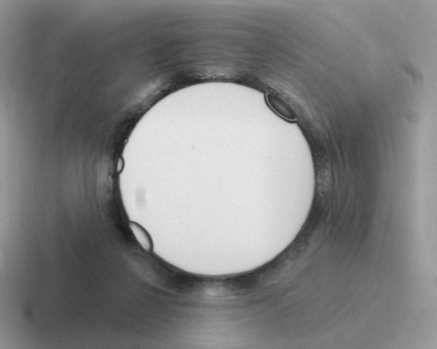 X0000116550264201001071121