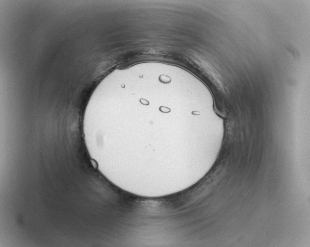 X0000116550265201001071121