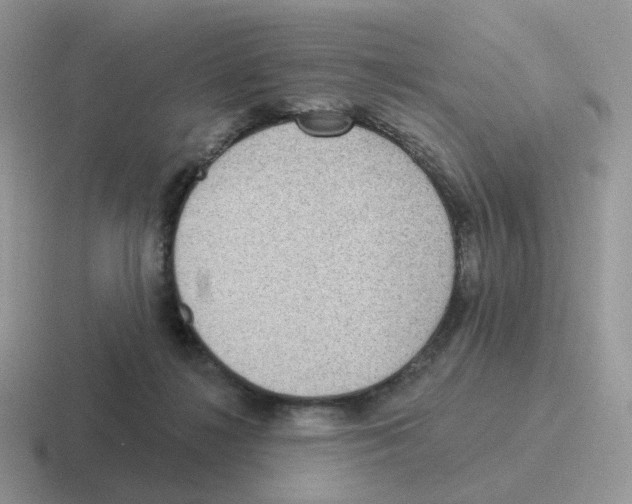 X0000116550268201001071121