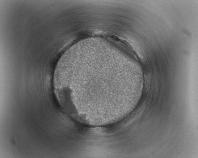 X0000116550269201001071121