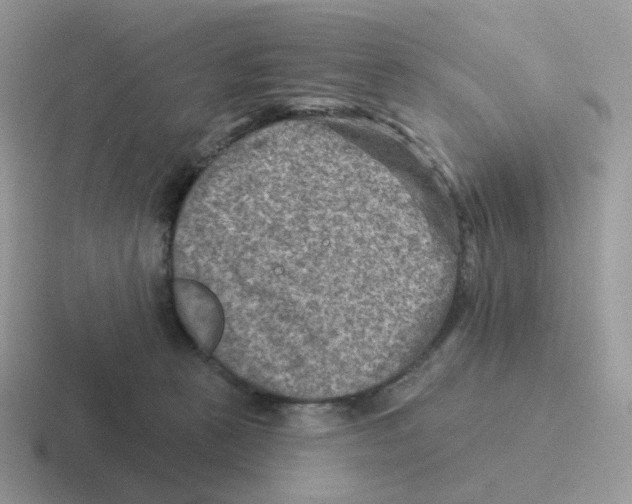 X0000116550273201001071121