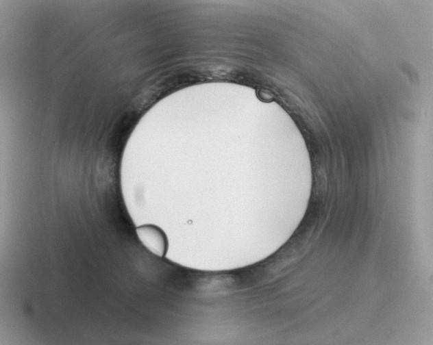 X0000116550274201001071121