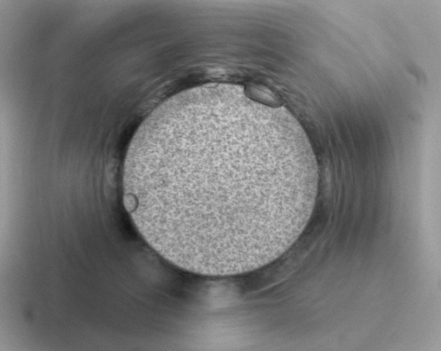 X0000116550275201001071122