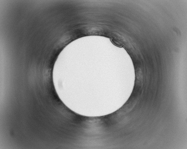 X0000116550278201001071122