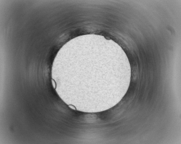 X0000116550279201001071122